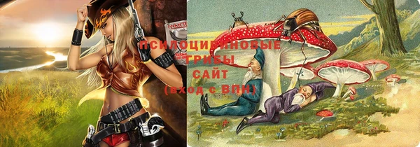 мяу мяу мука Арсеньев