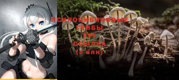 MDMA Premium VHQ Армянск